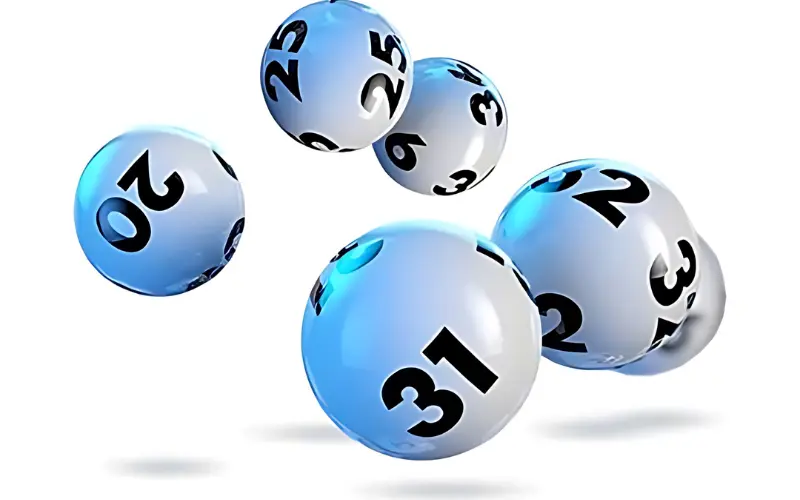 dear lottery guessing